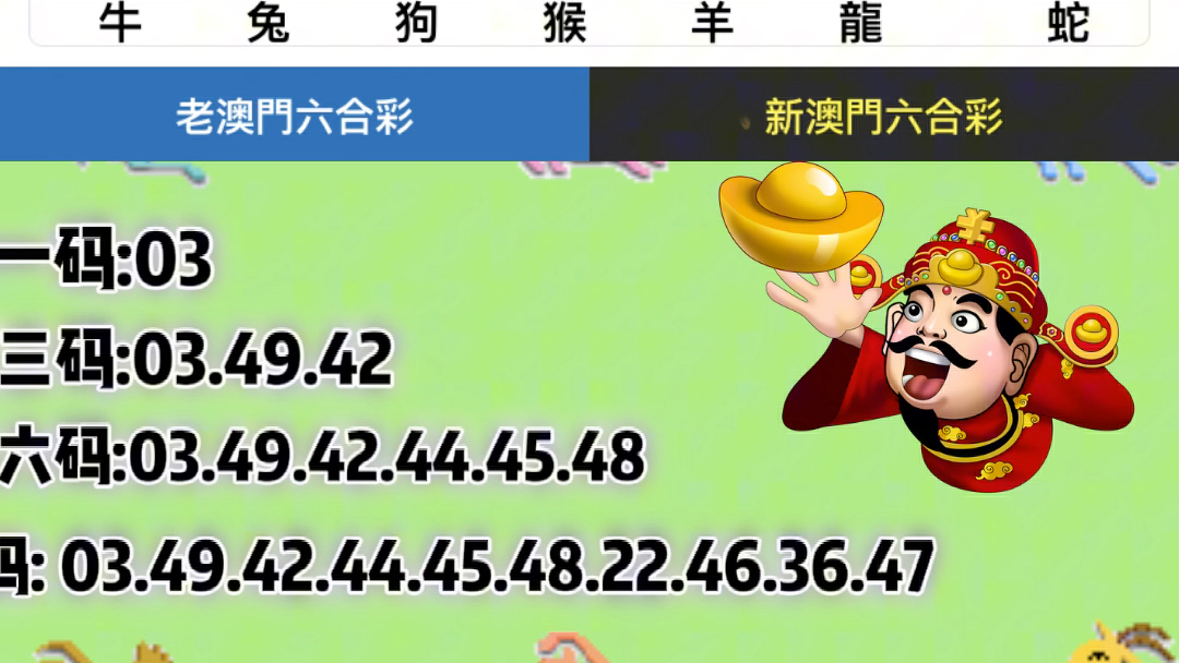 2025澳门六今晚开奖,精选解析解释落实